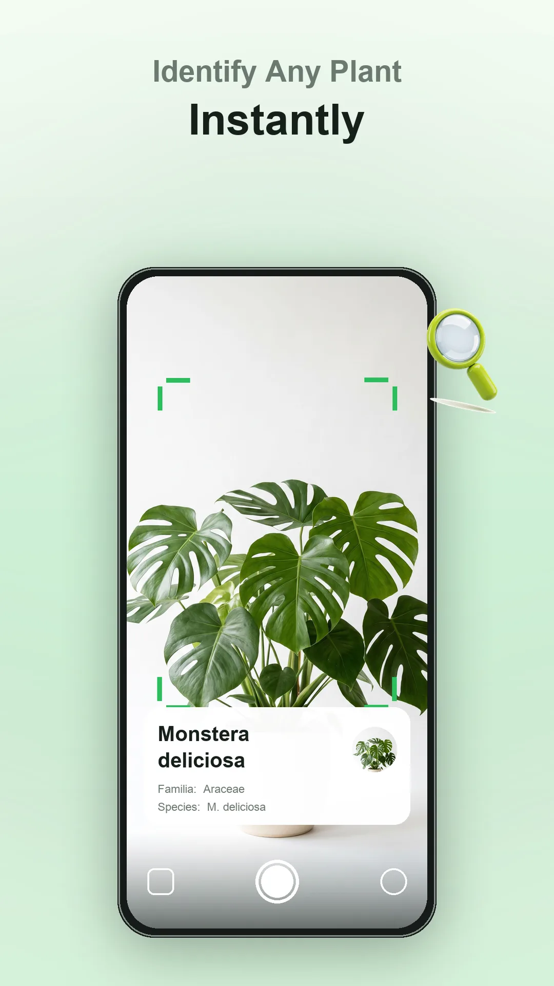 Plantia screen